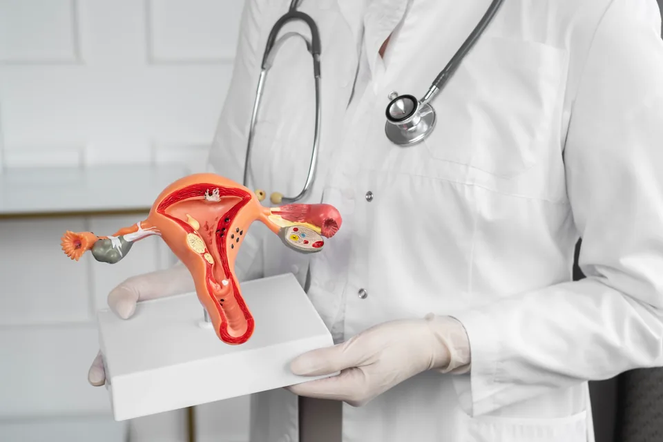 Ginecologia i Obstetrícia